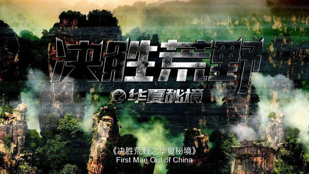 虫虫助手下载